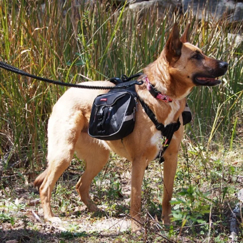 Ezydog Dog Backpack Summit w/Chest Plate Harness Size M